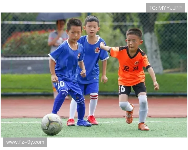 六安足球培训班专业课程提升青少年技能与团队合作能力